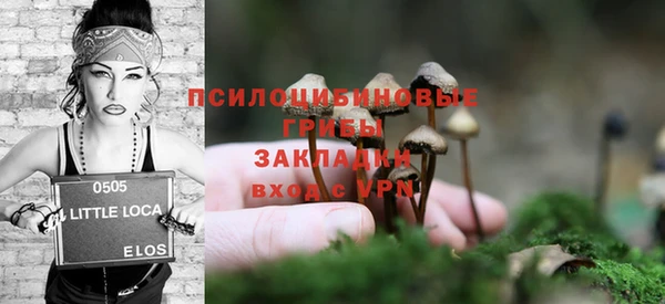 сатива Беломорск
