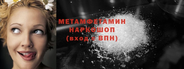 сатива Беломорск