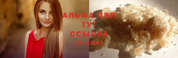 a pvp Белокуриха