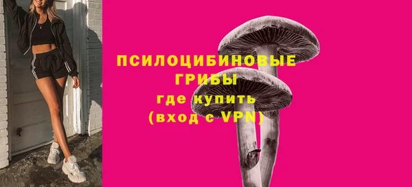 мет Горно-Алтайск