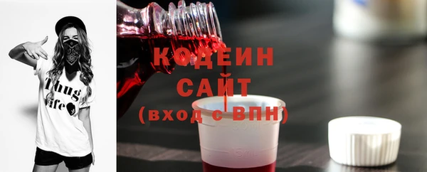 индика Богданович