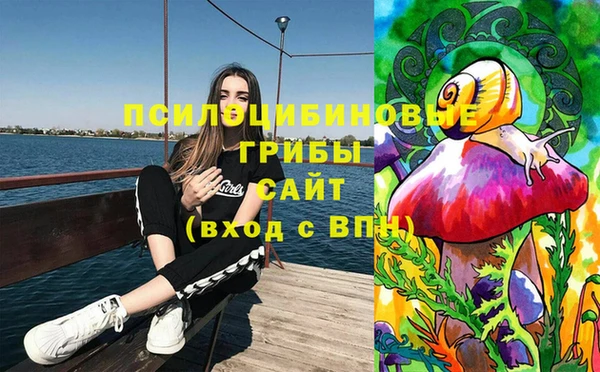 тгк Богородицк