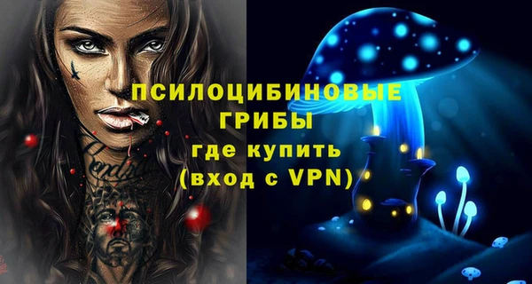 сатива Беломорск