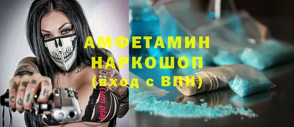 индика Богданович
